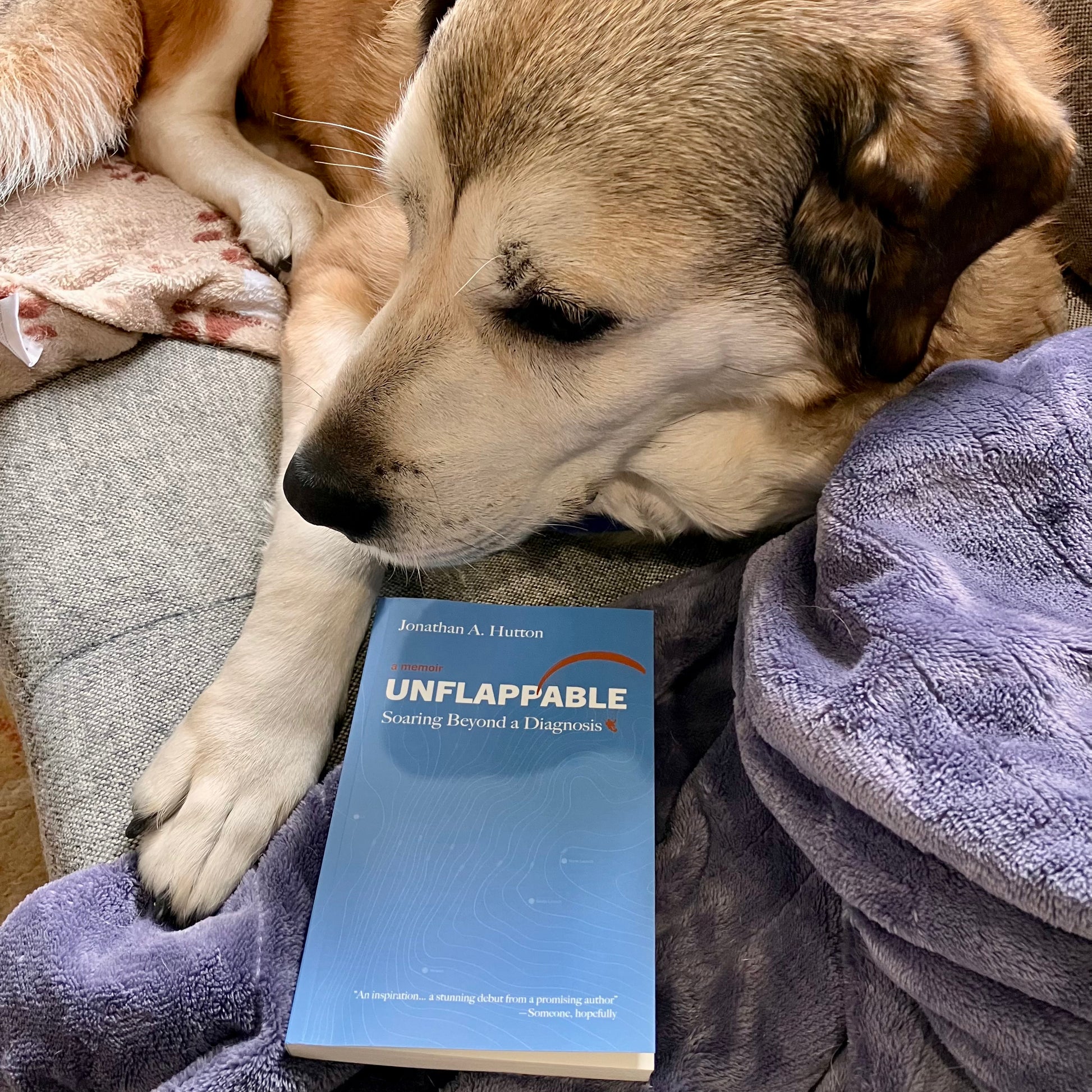 Mabel wishes she could read, or that this book was actually a treat